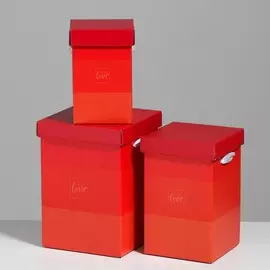 Набор коробок 3 в 1