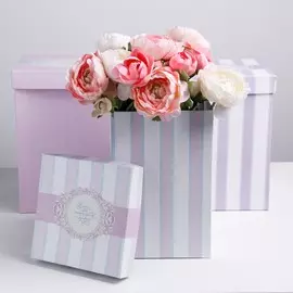 Набор коробок 3 в 1