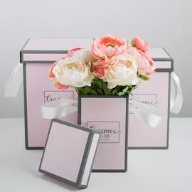 Набор коробок 3 в 1