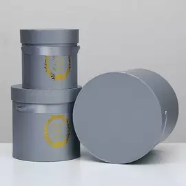 Набор коробок 3 в 1, цвет серебристый, 20 х 20 х 20 -13 х 13 х 13 см