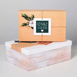 Набор коробок прямоугольных 2 в 1