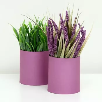 Набор круглых коробок 2в1 ,