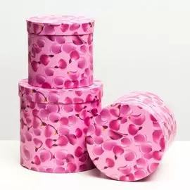 Набор круглых коробок 3 в 1