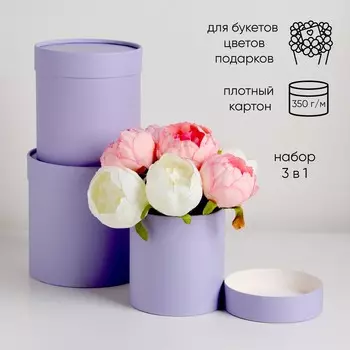 Набор круглых коробок 3 в 1,