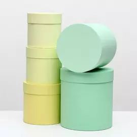 Набор круглых коробок 5 в 1