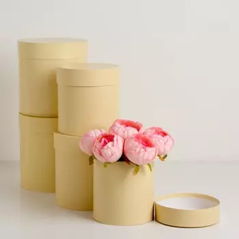 Набор круглых коробок 5в1