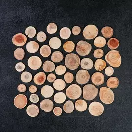 Набор круглых спилов