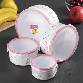 Набор контейнеров для еды доляна