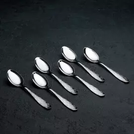 Набор чайных ложек доляна