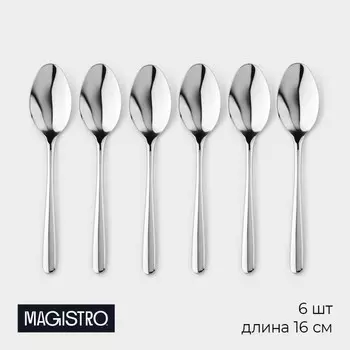 Набор чайных ложек magistro