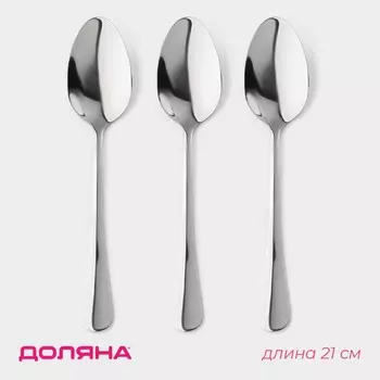Набор ложек столовых из нержавеющей стали доляна, длина 21 см, толщина 2.2 мм, 410 сталь, 3 шт.