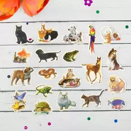 Набор магнитов