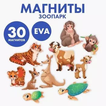 Набор магнитов для игр и обучения