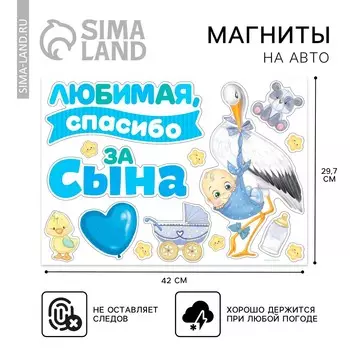 Набор магнитов на авто