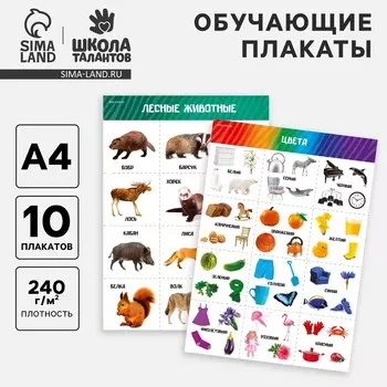 Набор обучающих плакатов