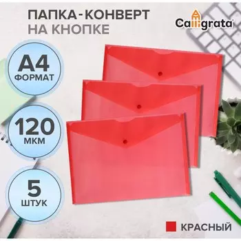 Набор папок-конвертов на кнопке 5 штук, а4, 120 мкм, calligrata, прозрачные, красные