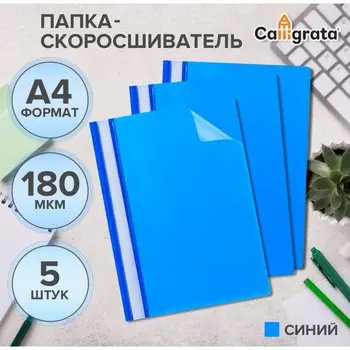 Набор папок-скоросшивателей 5шт. calligrata, а4, 180мкм, с синим прозрачным верхом