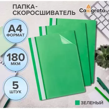 Набор папок-скоросшивателей 5шт. calligrata, а4, 180мкм, с зеленым прозрачным верхом