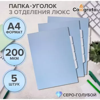 Набор папок уголков, а4, 200 мкм, 5 штук, calligrata top breeze, 3 отделения, небесный, глянцевые, полупрозрачные