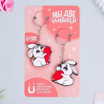 Набор парных магнитных брелоков