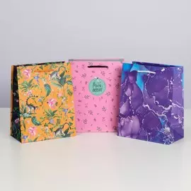 Набор подарочных пакетов