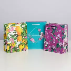 Набор подарочных пакетов