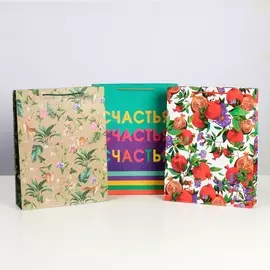 Набор подарочных пакетов