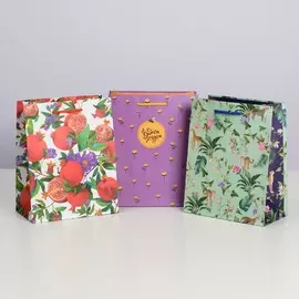 Набор подарочных пакетов