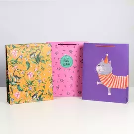 Набор подарочных пакетов