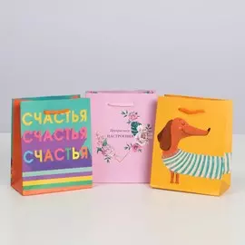 Набор подарочных пакетов