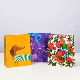 Набор подарочных пакетов