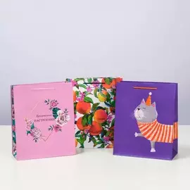 Набор подарочных пакетов