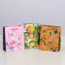 Набор подарочных пакетов