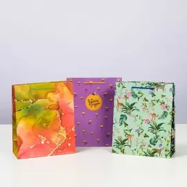 Набор подарочных пакетов