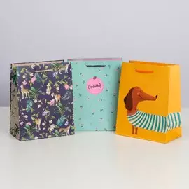 Набор подарочных пакетов