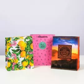 Набор подарочных пакетов