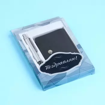 Набор подарочный 2 в 1, ручка, визитница