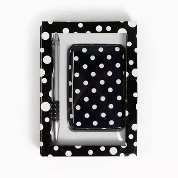 Набор подарочный 2в1 (ручка, визитница)