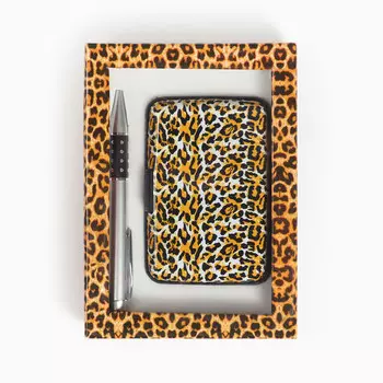 Набор подарочный 2 в1 (ручка, визитница)