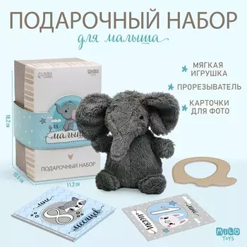 Набор подарочный: мягкая игрушка+прорезыватель+карточки для фото