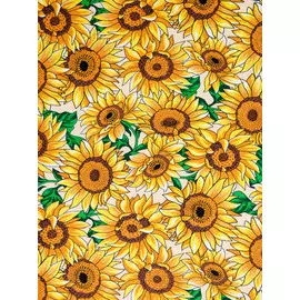 Набор полотенец кухонных 35х60