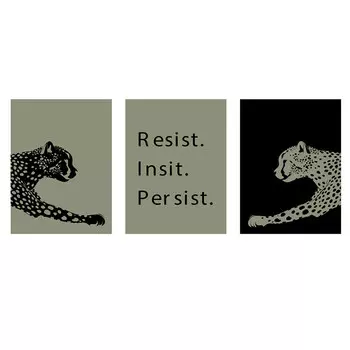 Набор постеров настенных