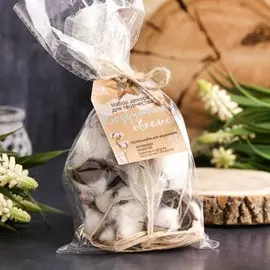 Набор природного декора