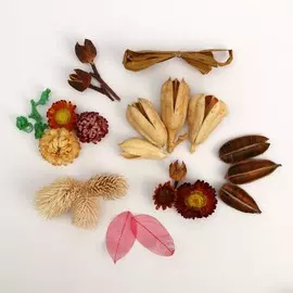 Набор природного декора