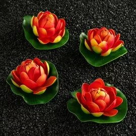 Набор растений аквариумных