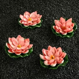 Набор растений аквариумных