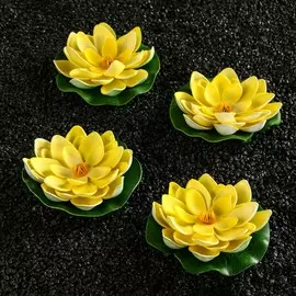 Набор растений аквариумных