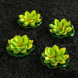 Набор растений аквариумных