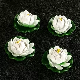 Набор растений аквариумных