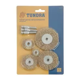 Набор щеток металлических для дрели тундра, плоские 25-38-50-63-75 мм, 5 шт. + 3 шпильки